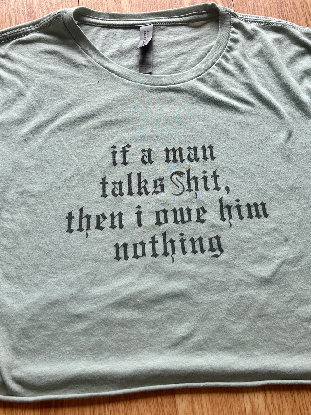 Taylor Swift Reputation Crop Top Small Sage Green “I Did Something Bad” lyric 🐍